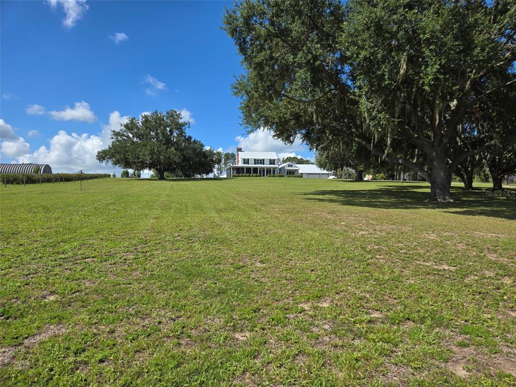 7956 LAKE NELLIE ROAD gallery image #2
