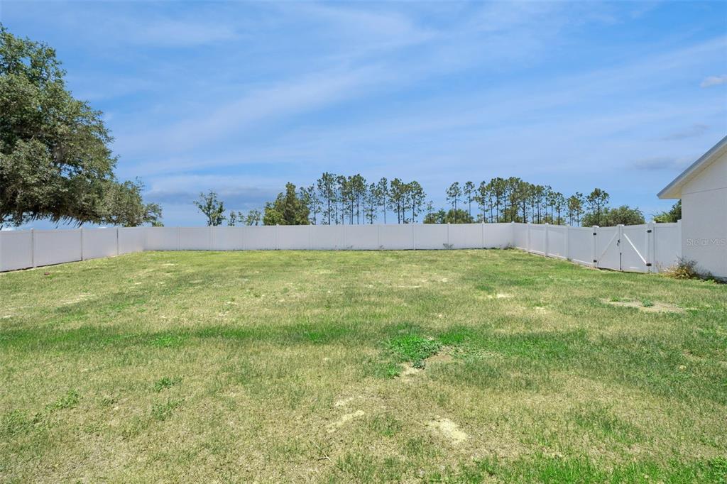 7956 LAKE NELLIE ROAD gallery image #55