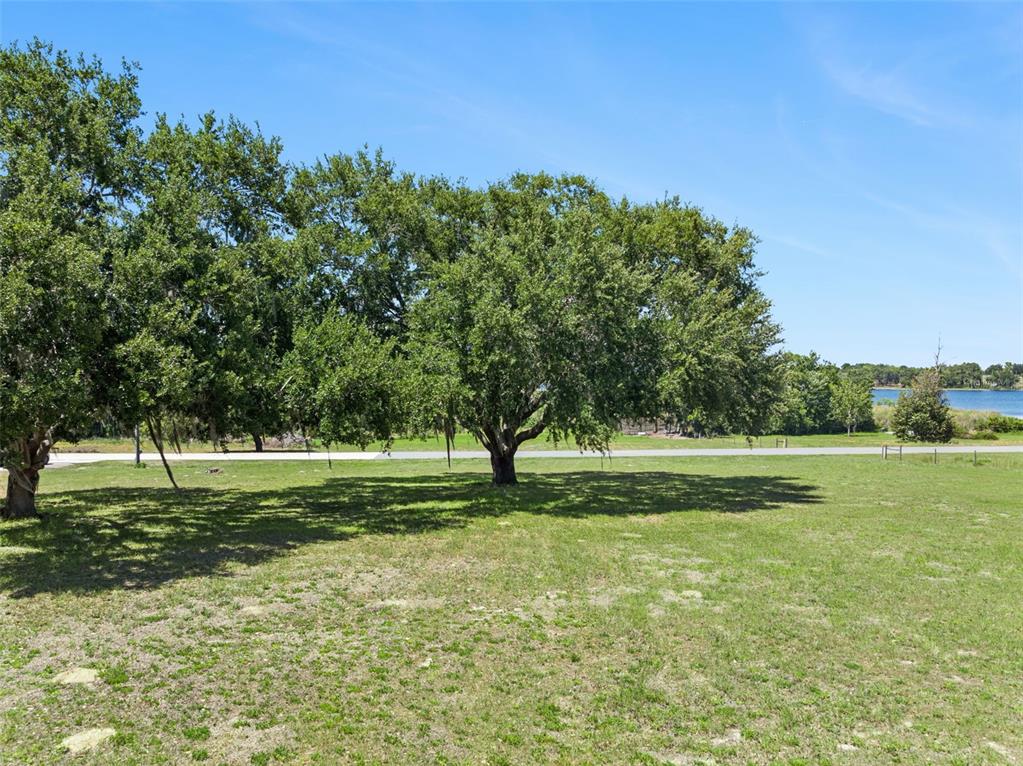 7956 LAKE NELLIE ROAD gallery image #56