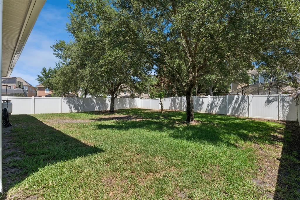 509 SPRING RIVER DRIVE gallery image #38