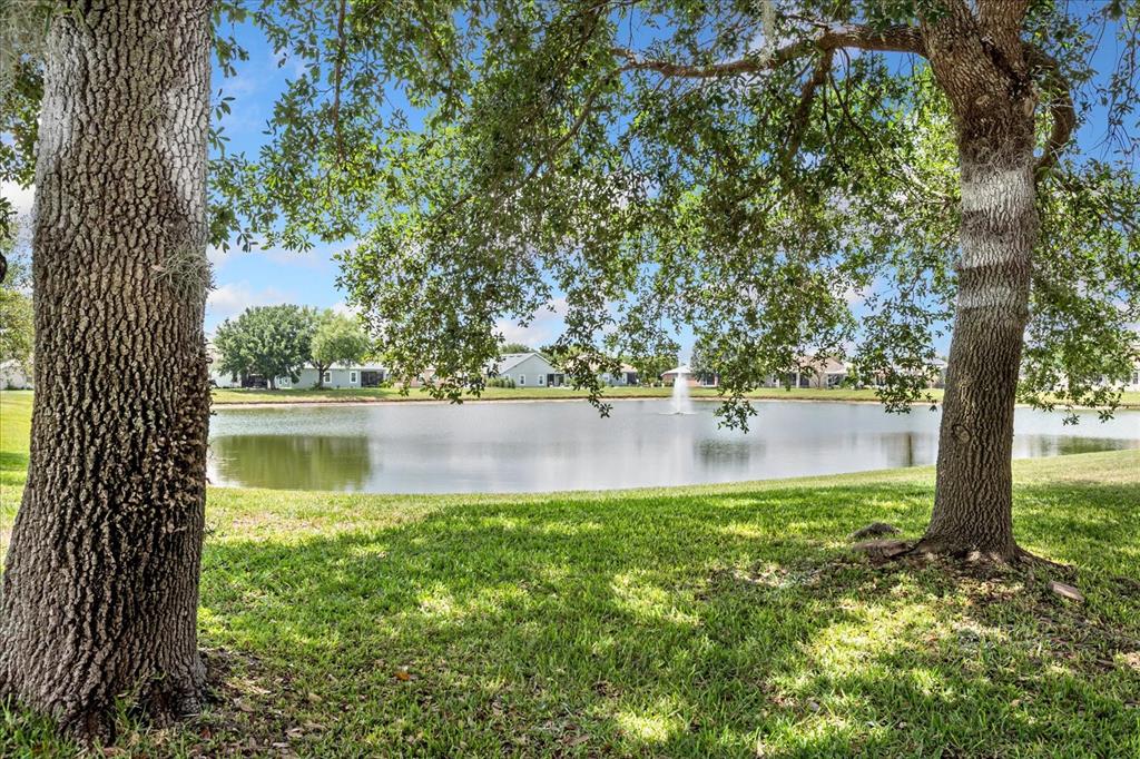 2886 OCONNELL DRIVE gallery image #21