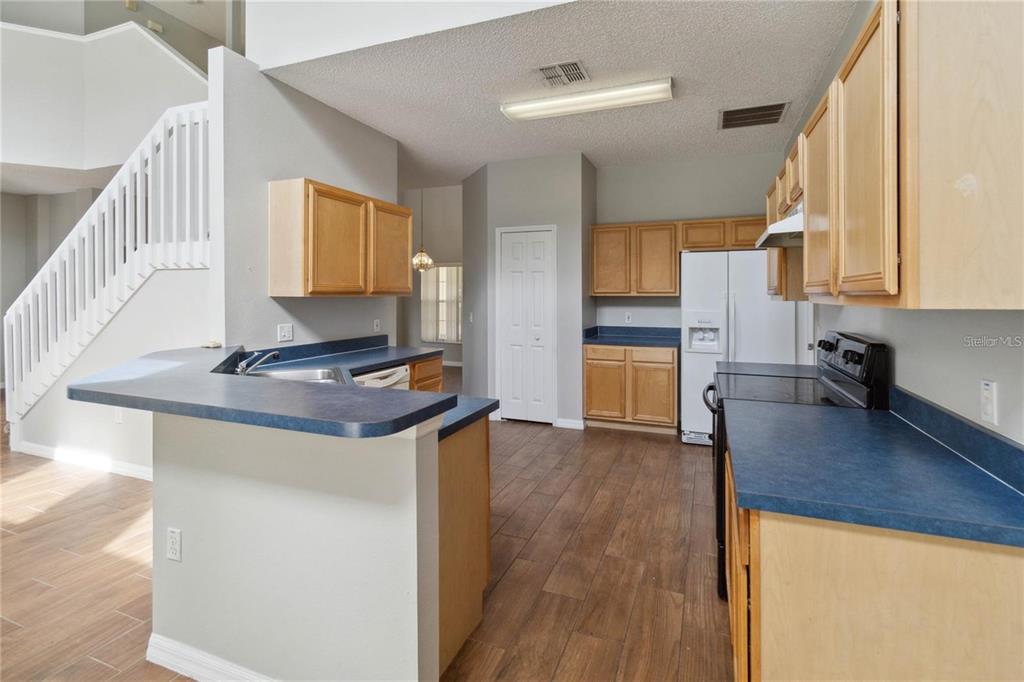5411 DAHLIA RESERVE DRIVE gallery image #3