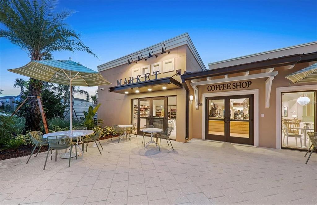 8905 COCONUT BREEZE DRIVE gallery image #67