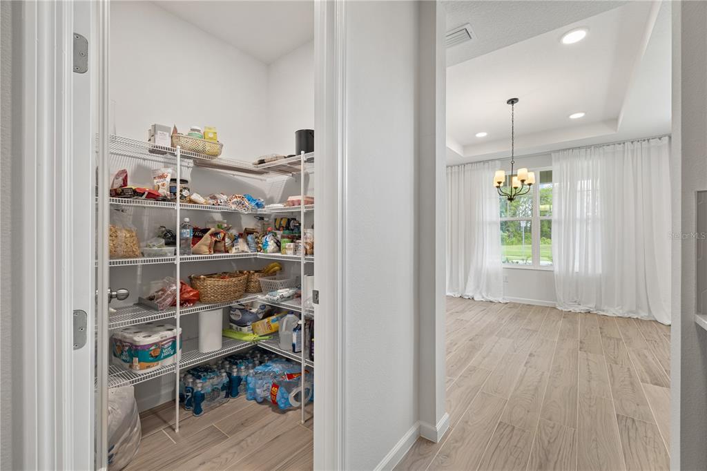 17372 GLOSSY POMELO WAY gallery image #14