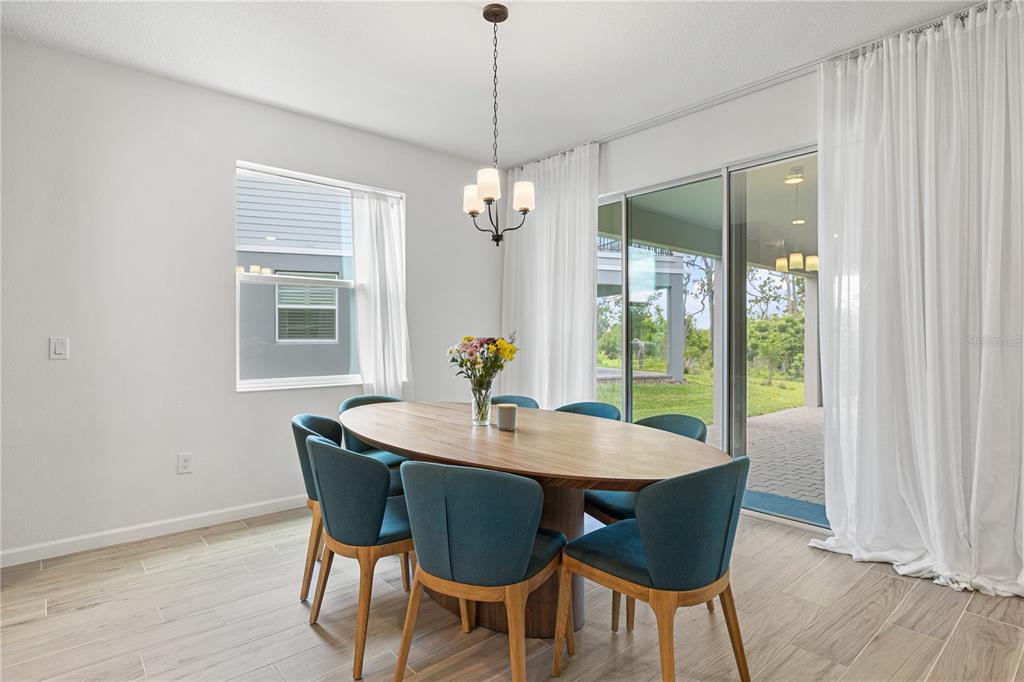 17372 GLOSSY POMELO WAY gallery image #25