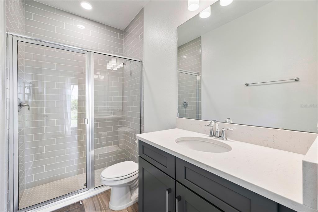 17372 GLOSSY POMELO WAY gallery image #36