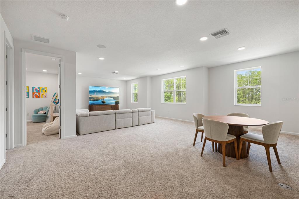 17372 GLOSSY POMELO WAY gallery image #45