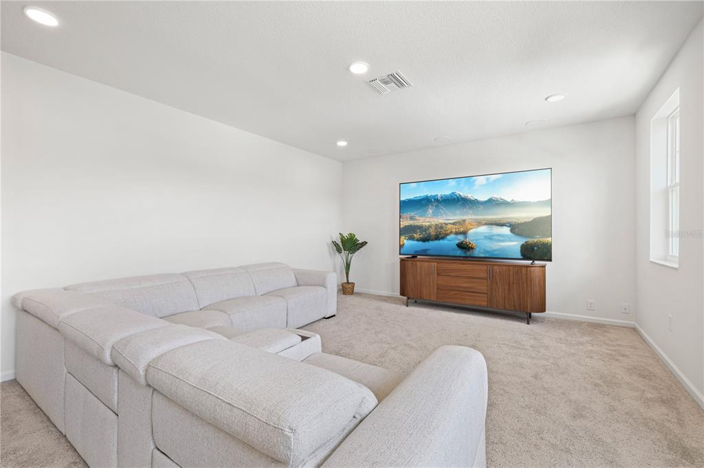 17372 GLOSSY POMELO WAY gallery image #47