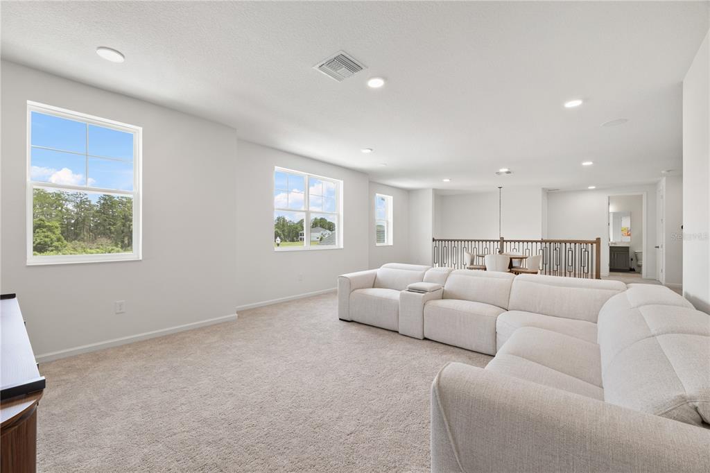 17372 GLOSSY POMELO WAY gallery image #48