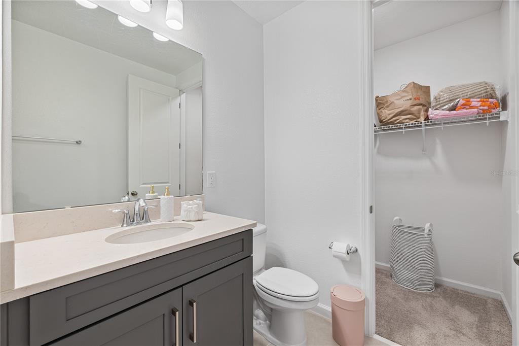 17372 GLOSSY POMELO WAY gallery image #51
