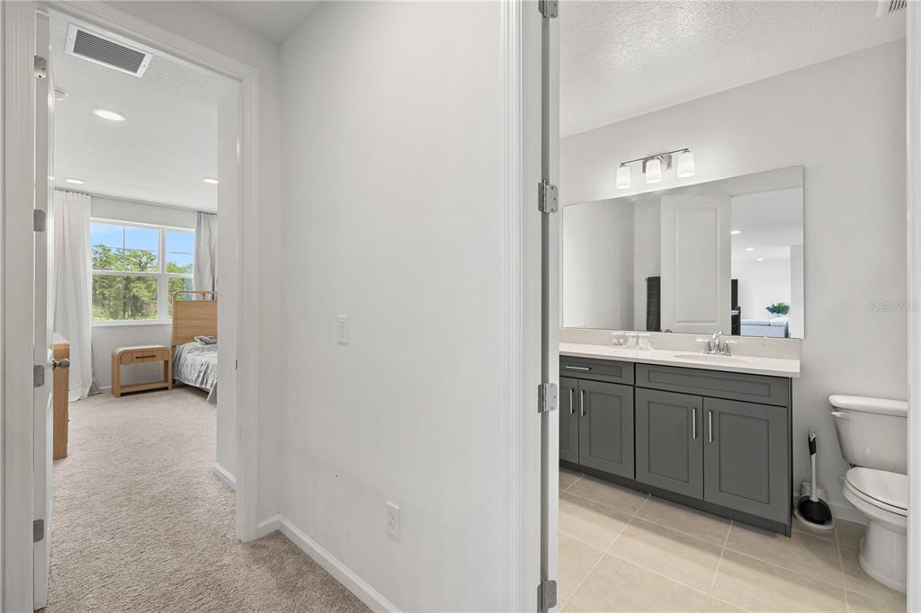 17372 GLOSSY POMELO WAY gallery image #53