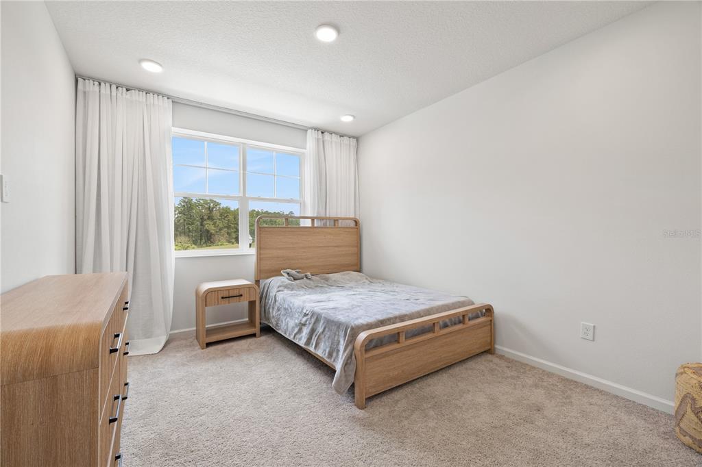 17372 GLOSSY POMELO WAY gallery image #55