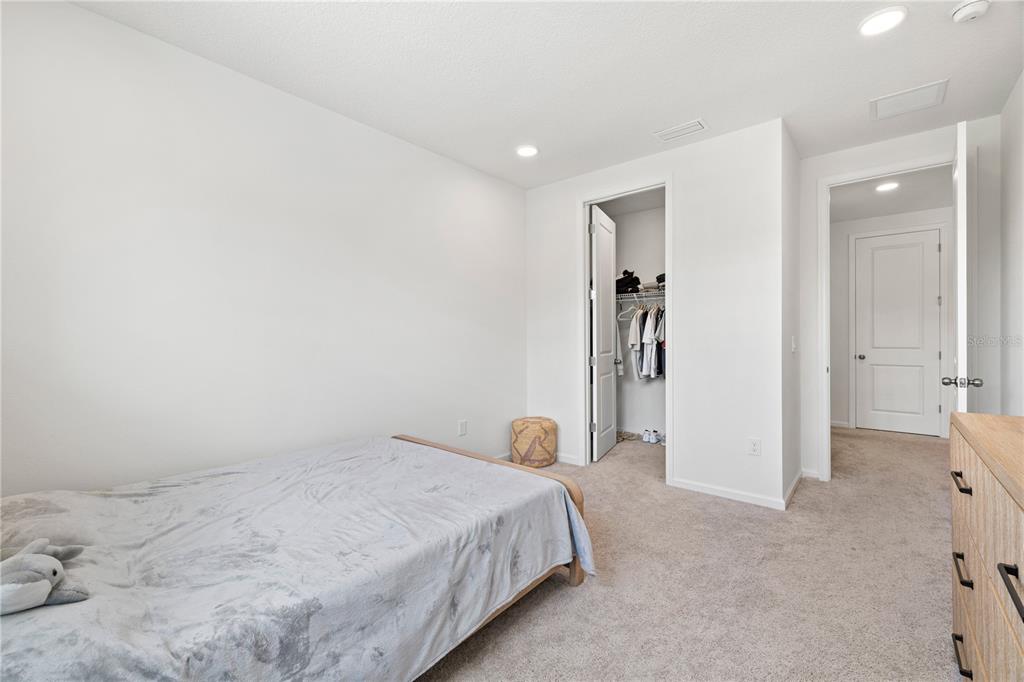 17372 GLOSSY POMELO WAY gallery image #56