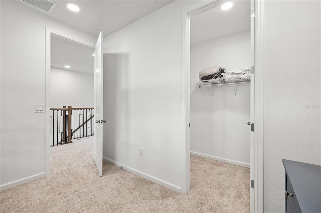 17372 GLOSSY POMELO WAY gallery image #58