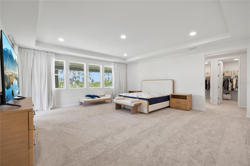 17372 GLOSSY POMELO WAY gallery image #59