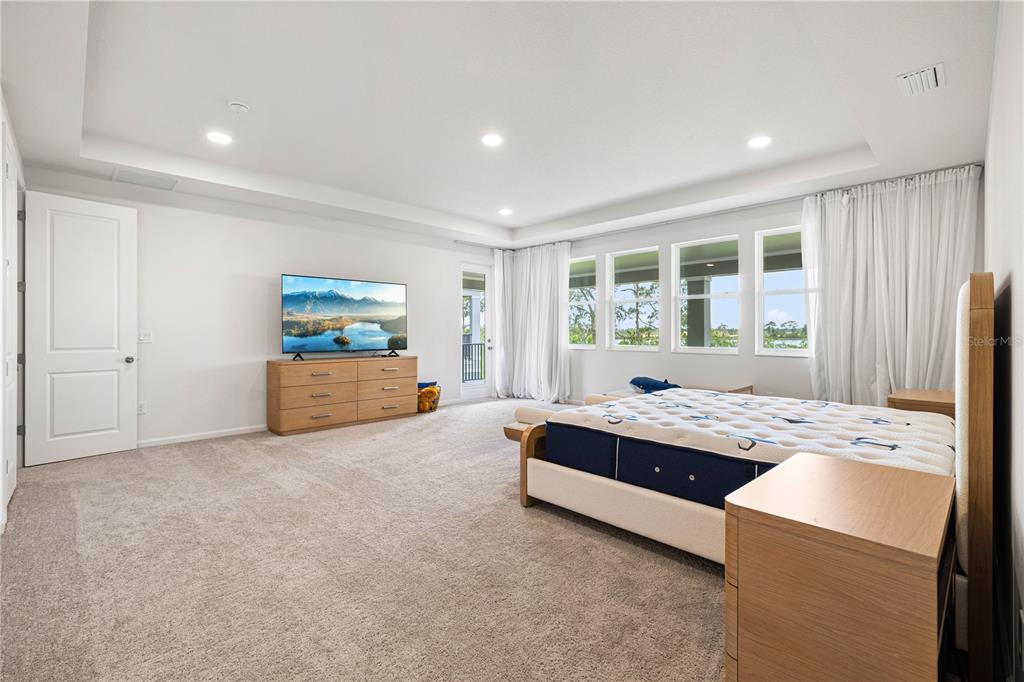 17372 GLOSSY POMELO WAY gallery image #60