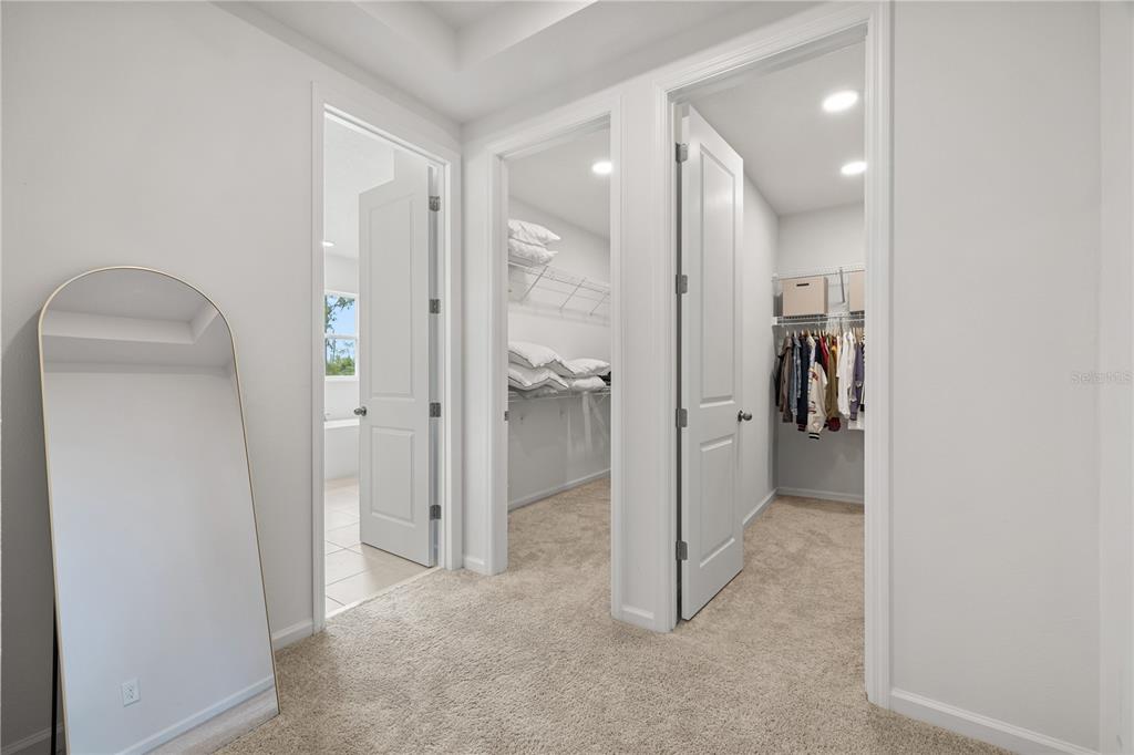 17372 GLOSSY POMELO WAY gallery image #61