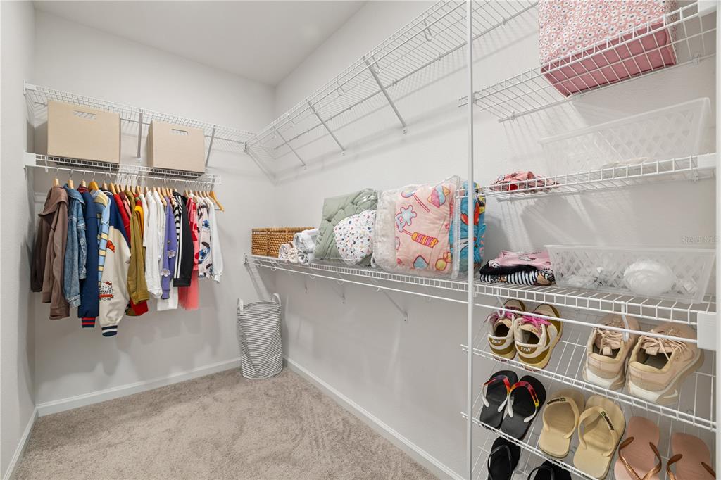 17372 GLOSSY POMELO WAY gallery image #62