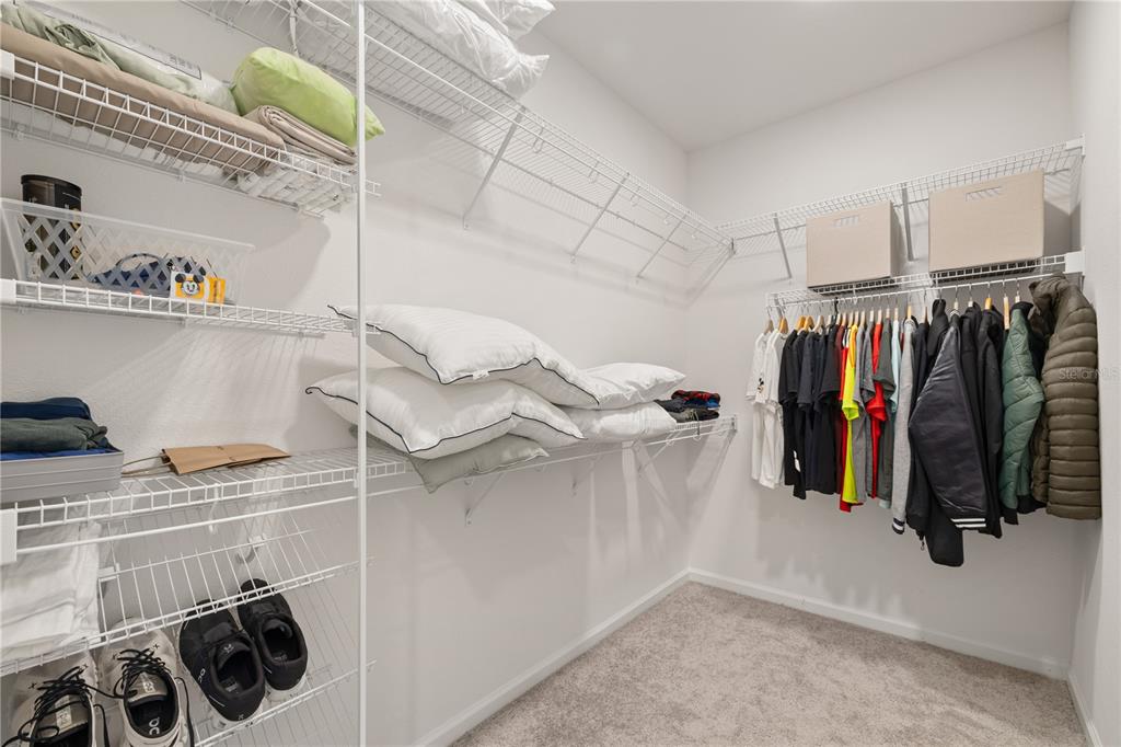 17372 GLOSSY POMELO WAY gallery image #63