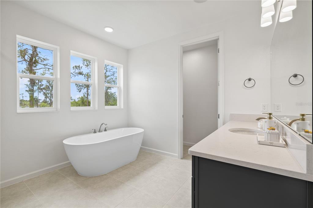 17372 GLOSSY POMELO WAY gallery image #65
