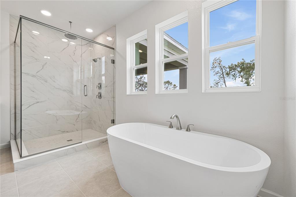 17372 GLOSSY POMELO WAY gallery image #66