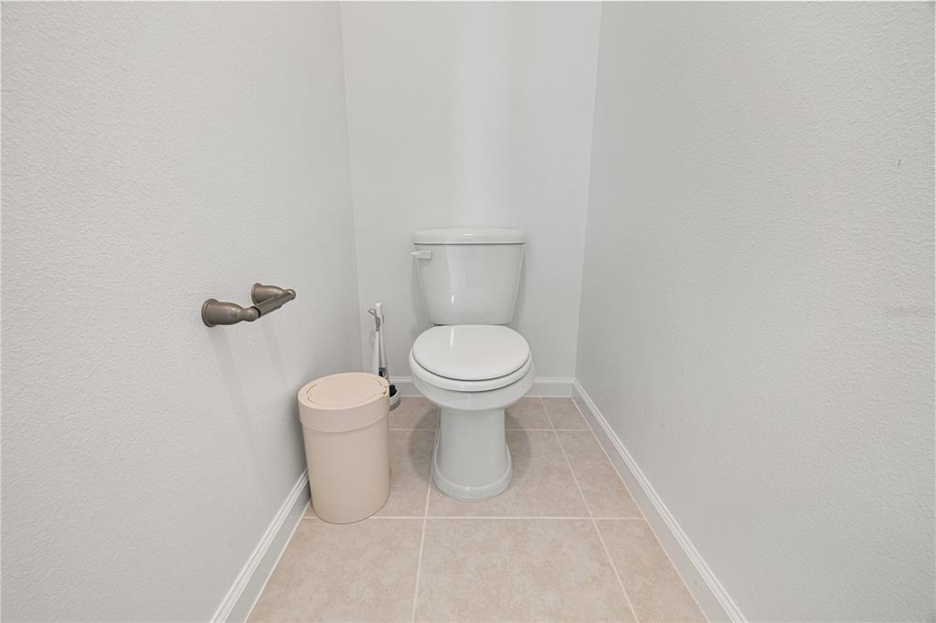 17372 GLOSSY POMELO WAY gallery image #67