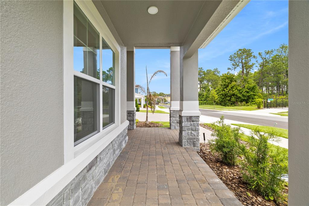 17372 GLOSSY POMELO WAY gallery image #7