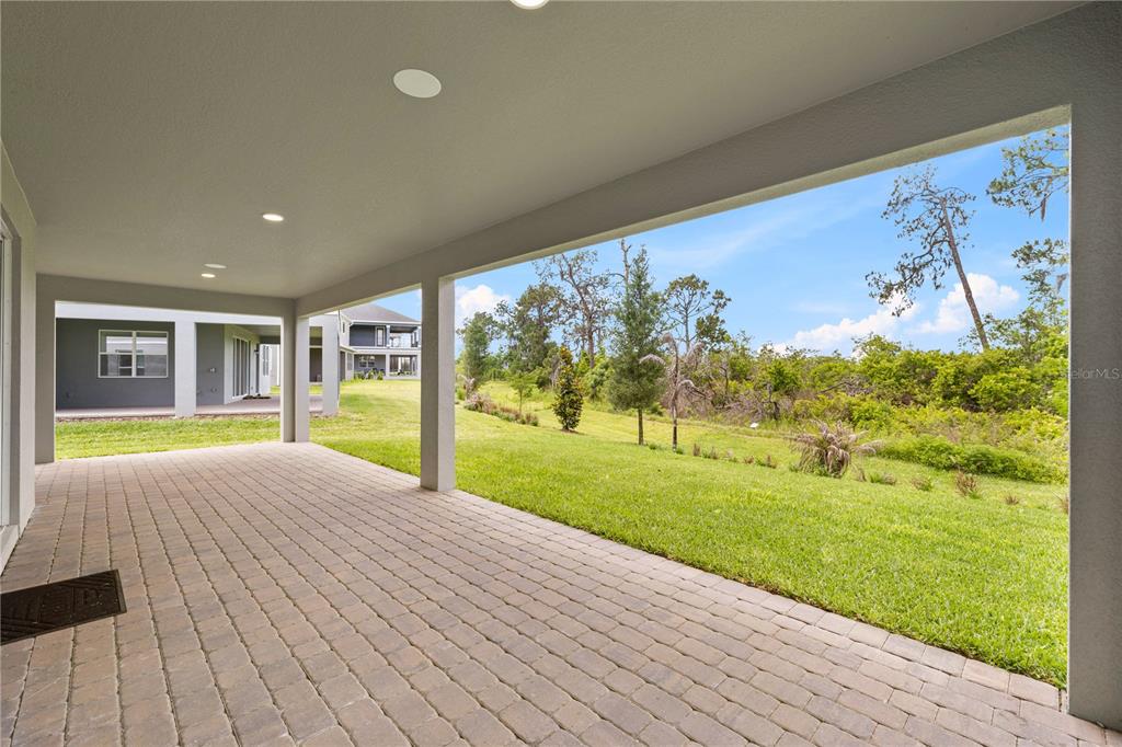 17372 GLOSSY POMELO WAY gallery image #73