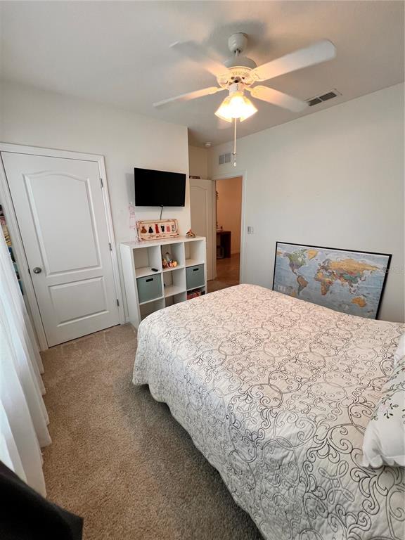 1267 IGUANA LOOP gallery image #11