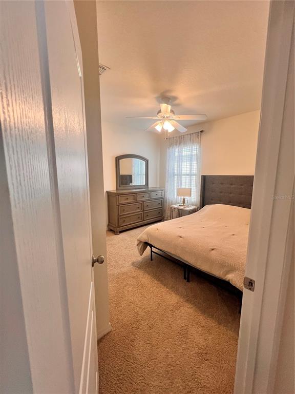 1267 IGUANA LOOP gallery image #12