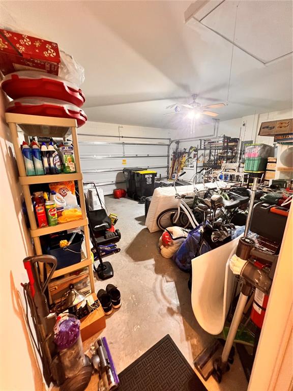 1267 IGUANA LOOP gallery image #22