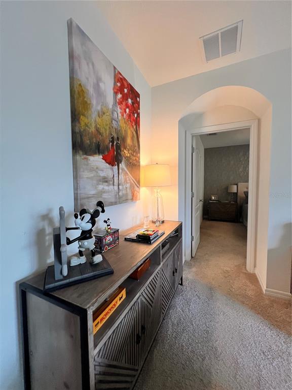1267 IGUANA LOOP gallery image #34