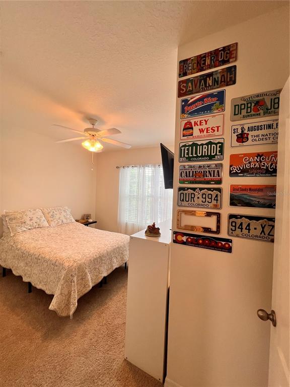 1267 IGUANA LOOP gallery image #8
