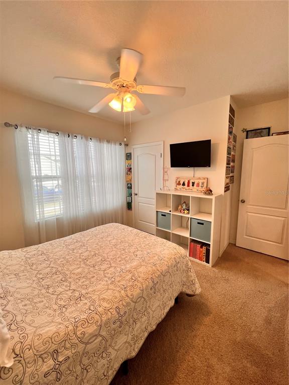 1267 IGUANA LOOP gallery image #9