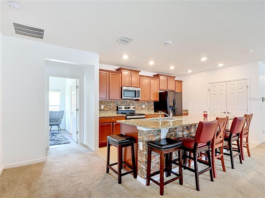 417 BLUE LAKE CIRCLE gallery image #12