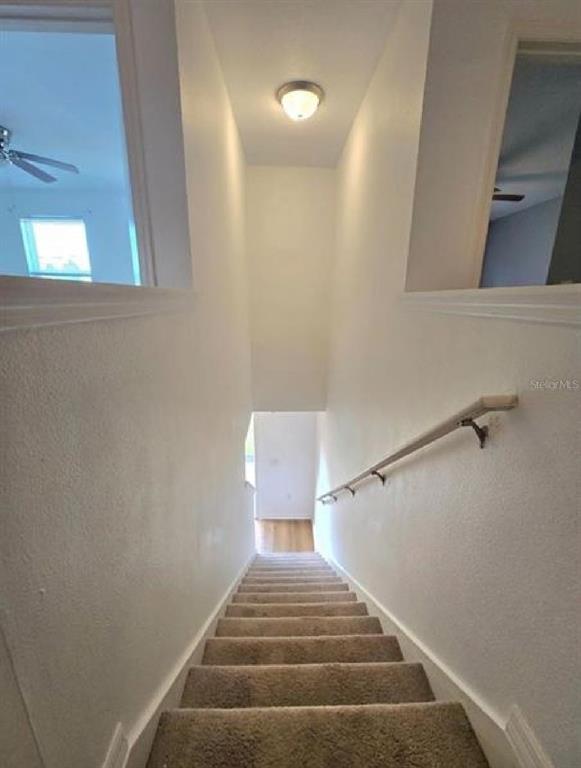233 GLADIOLA COURT gallery image #11