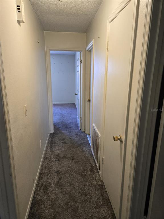 5388 LONESOME DOVE DRIVE gallery image #10