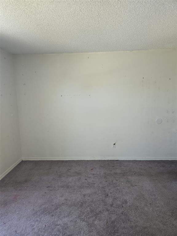 5388 LONESOME DOVE DRIVE gallery image #3