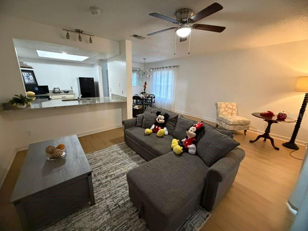  gallery image #7