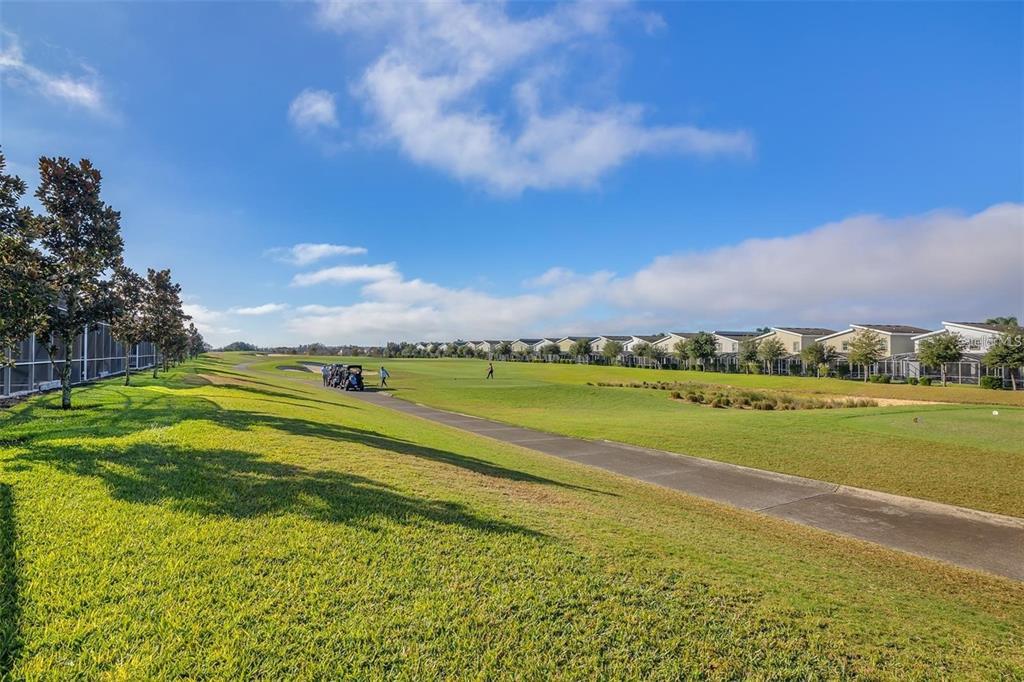 9084 SOMMERSET HILLS DRIVE gallery image #43