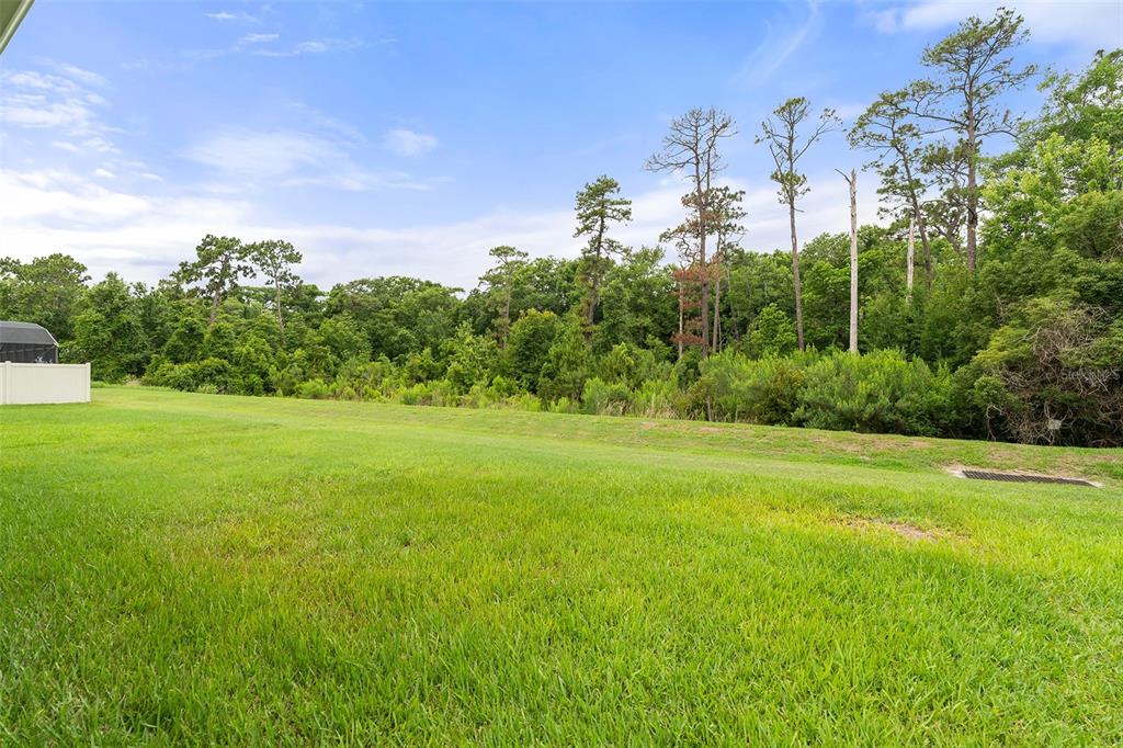 14048 WATERFORD CREEK BOULEVAR gallery image #10