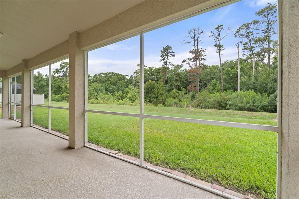 14048 WATERFORD CREEK BOULEVAR gallery image #9