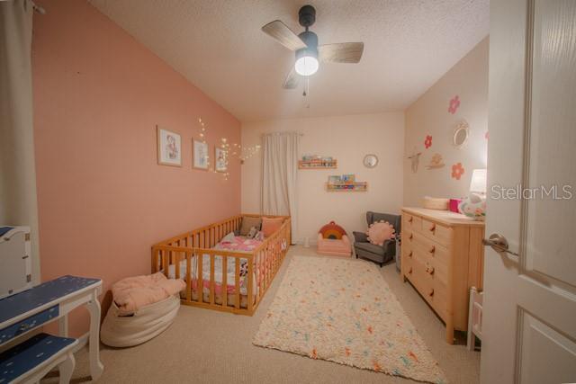 3701 SEMINOLE DRIVE gallery image #6