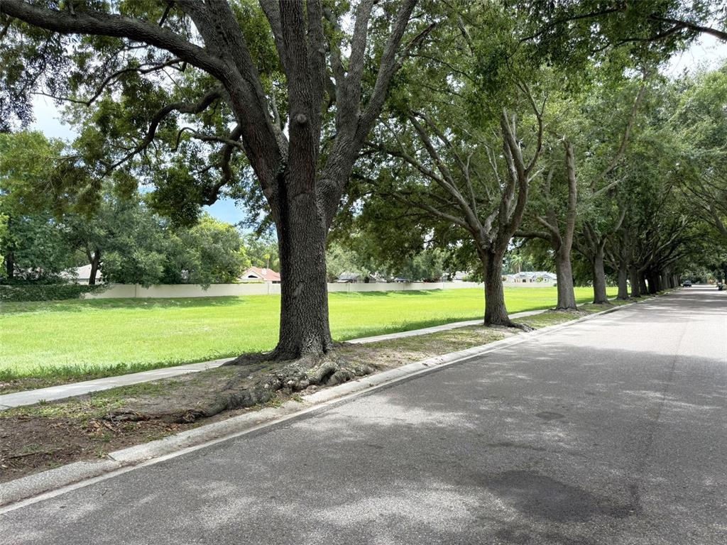 4507 WINDERWOOD CIRCLE gallery image #51