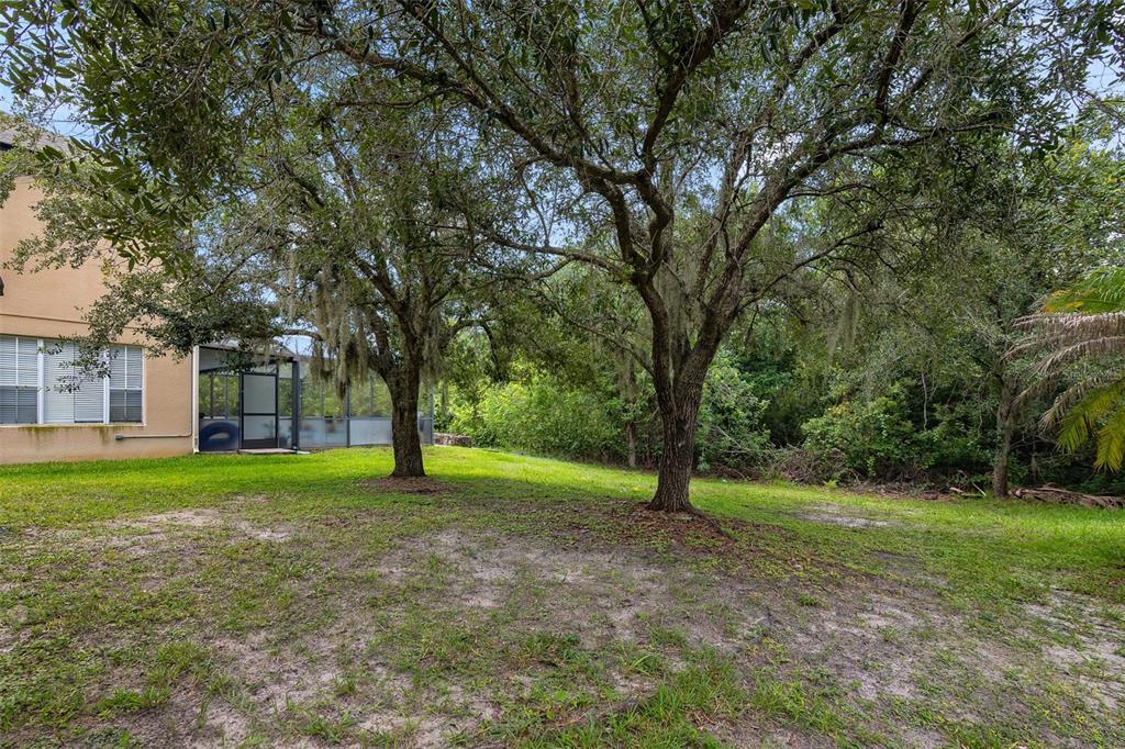 1720 BEAR BAY COVE gallery image #27