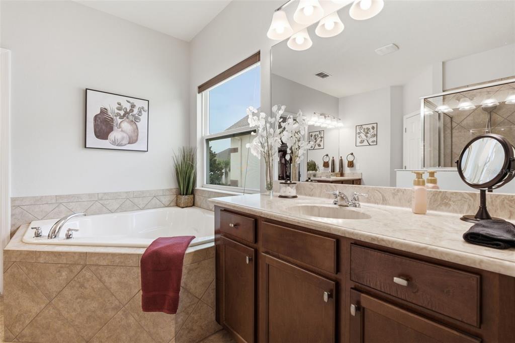 19385 PUMMELO DRIVE gallery image #17