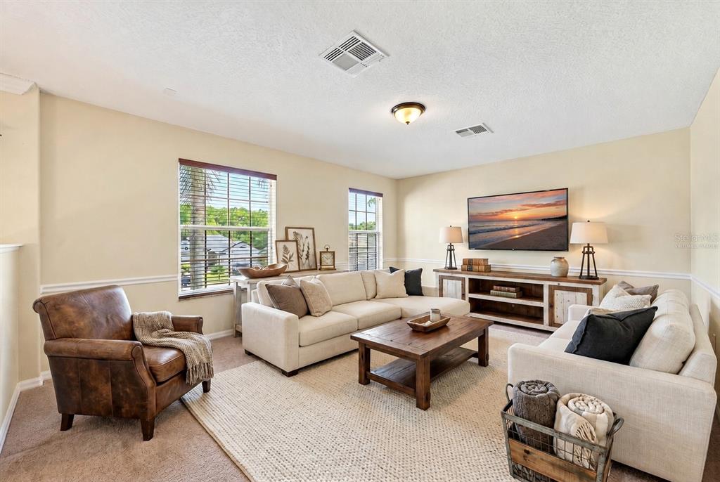 10020 RUSTIC RIDGE COURT gallery image #18