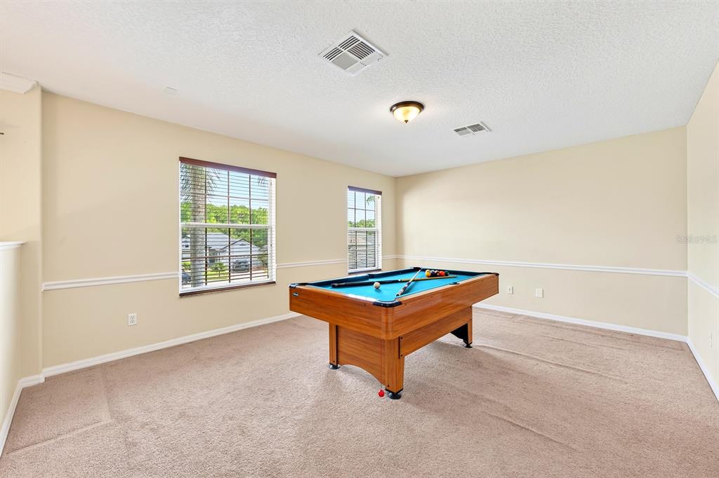 10020 RUSTIC RIDGE COURT gallery image #51