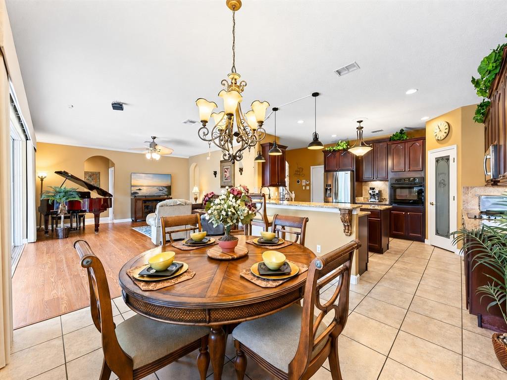 10020 RUSTIC RIDGE COURT gallery image #9