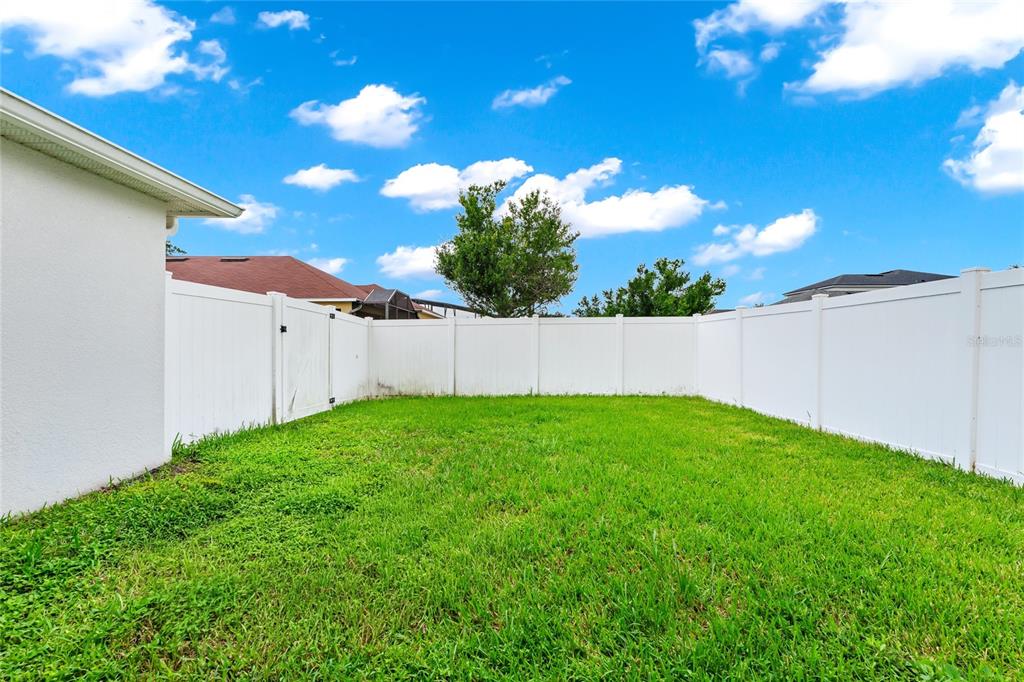13812 CEPHEUS DRIVE gallery image #36